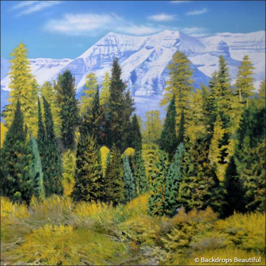 Backdrops: Aspen Mountains  1B