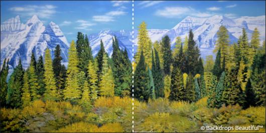 Backdrops: Aspen Mountains  1B Panel