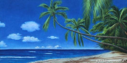 Backdrops: Tropical Beach 14