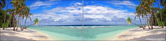 Backdrops: Tropical Beach  4 Panel