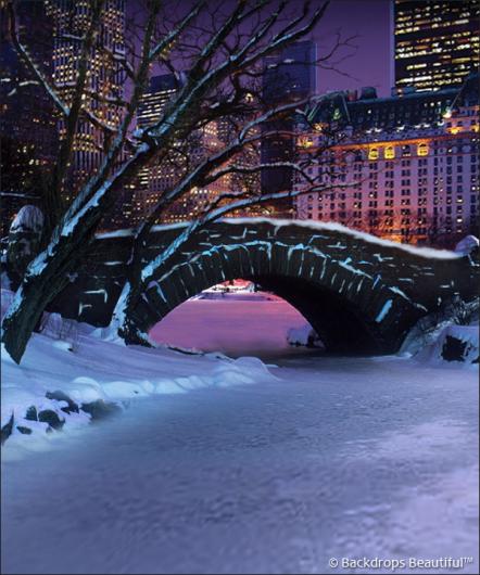 Backdrops: Central Park 5 Winter