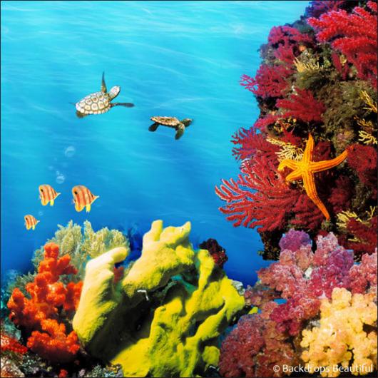 Backdrops: Coral Reef B