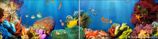 Backdrops: Coral Reef  6 Panel