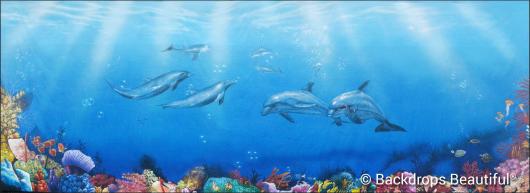Backdrops: Coral Reef  9 Dolphins