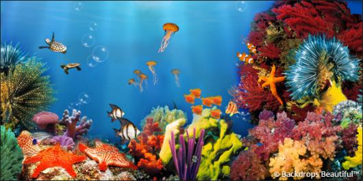 Backdrops: Coral Reef  2