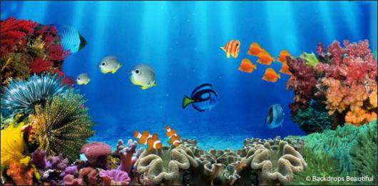 Hand Painted Backdrops Australia Hand Painted Backdrops Australia
