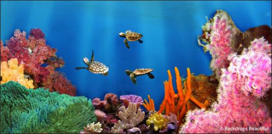 Backdrops: Coral Reef  4
