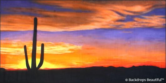 Backdrops: Desert Sunset 1A Cactus