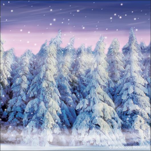 Backdrops: Winter Forest 4