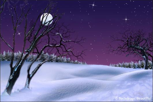 Backdrops: Winter Twilight 1A Moon