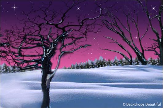Backdrops: Winter Twilight 1C Stars