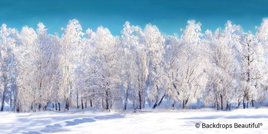 Backdrops: Winter Forest White