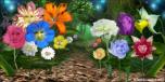 Wonderland Flowers 1