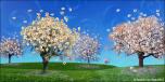 Cherry Blossom 1