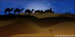 Camel Silhouette 3