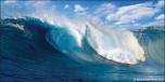 Ocean Wave 1