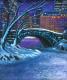 Central Park 5 Winter