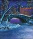 Central Park 5B Winter