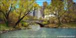 Central Park 6 Bridge