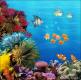 Coral Reef A