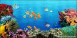 Coral Reef 6