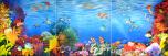 Coral Reef E Panel