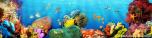 Coral Reef 5