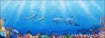 Coral Reef 9 Dolphins