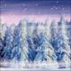 Winter Forest 4