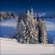 Winter Wonderland 6A (Vinyl)