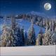 Winter Wonderland 6B (Vinyl)