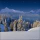 Winter Wonderland 6C (Vinyl)