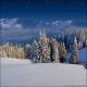 Winter Wonderland 6D (Vinyl)