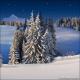 Winter Wonderland 6F (Vinyl)