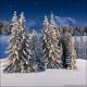 Winter Wonderland 6G (Vinyl)