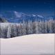 Winter Wonderland 6H (Vinyl)