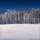 Winter Wonderland 6I (Vinyl)