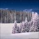 Winter Wonderland 6J (Vinyl)