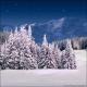 Winter Wonderland 6K (Vinyl)