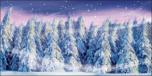 Winter Forest 3