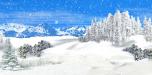 Winter Wonderland 4C