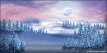 Winter Trees 4B