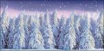 Winter Forest 1C