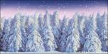 Winter Forest 1D