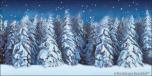 Winter Forest 6