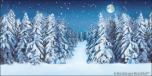 Winter Forest 7