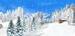 Winter Wonderland 5D