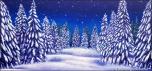 Winter Trees 6
