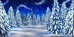 Winter Trees 7
