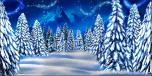 Winter Trees 9